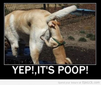 post-46648-0-62445800-1344054586_thumb.p