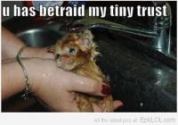 post-46648-0-79581200-1344054214_thumb.j