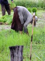 post-52957-0-17200700-1345437131_thumb.j