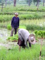 post-52957-0-36573100-1345437120_thumb.j