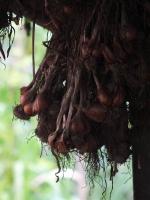 post-52957-0-58800700-1345436941_thumb.j