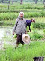 post-52957-0-59399800-1345437115_thumb.j