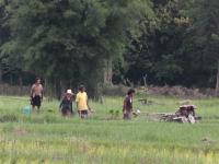 post-52957-0-73076200-1345436931_thumb.j