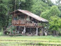 post-52957-0-96518400-1345436937_thumb.j