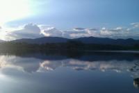 post-61039-0-93446400-1346308604_thumb.j