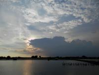 post-104736-0-15473200-1376826866_thumb.