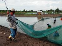 post-104736-0-34431200-1376523999_thumb.