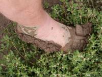 post-104736-0-82368200-1376523690_thumb.