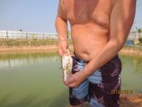 post-111197-0-11321800-1377512011_thumb.