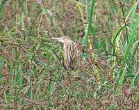 post-12069-0-06925100-1377691879_thumb.j