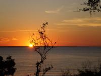 post-12069-0-18696200-1377954056_thumb.j