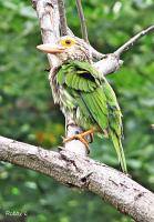 post-12069-0-43119700-1377037904_thumb.j