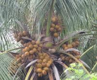 post-12069-0-43880300-1376482245_thumb.j