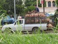 post-12069-0-53815400-1376648462_thumb.j