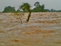 post-12069-0-55161700-1375596131_thumb.j