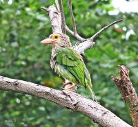 post-12069-0-62691900-1377038085_thumb.j