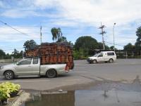 post-12069-0-63530000-1376566024_thumb.j