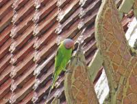 post-12069-0-63651200-1376709606_thumb.j