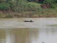 post-12069-0-74295500-1377925532_thumb.j