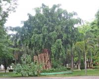 post-12069-0-80816700-1376710119_thumb.j