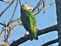 post-12069-0-85846700-1377038554_thumb.j