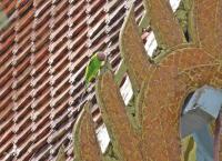 post-12069-0-92908300-1376709535_thumb.j