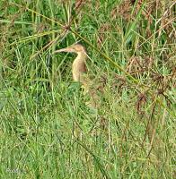 post-12069-0-93691600-1377734773_thumb.j