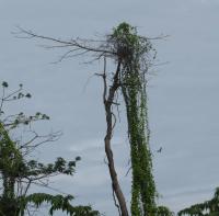 post-12069-0-94822800-1376627526_thumb.j