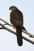 post-128422-0-32824900-1377328633_thumb.