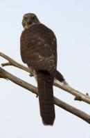 post-128422-0-91761100-1377328642_thumb.