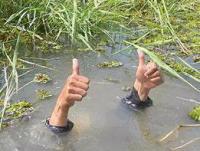 post-129819-0-46380800-1377057899_thumb.