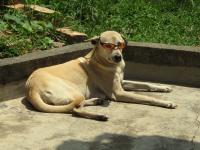 post-146250-0-14248600-1377952022_thumb.