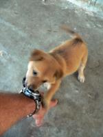 post-146250-0-32144800-1377952448_thumb.