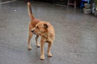 post-146250-0-46502600-1377952466_thumb.