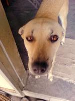 post-146250-0-47243700-1377952251_thumb.