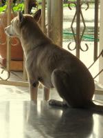 post-146250-0-62252600-1377951995_thumb.