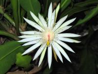 post-146250-0-64162900-1377950907_thumb.