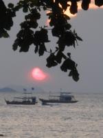 post-182195-0-27788800-1375803090_thumb.