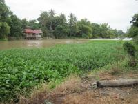 post-182195-0-61105400-1375804164_thumb.