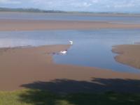 post-183206-0-35275900-1376861989_thumb.