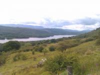 post-183206-0-48436200-1376824424_thumb.