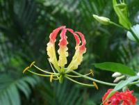 post-185776-0-29968800-1377927721_thumb.