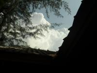 post-185776-0-47723600-1377929085_thumb.