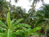 post-185776-0-56178900-1377942607_thumb.