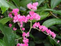 post-185776-0-81701000-1377927624_thumb.