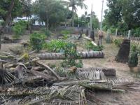 post-19542-0-17182600-1377279584_thumb.j