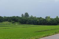 post-25023-0-36826500-1377442664_thumb.j