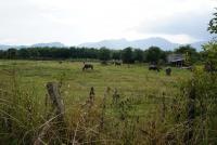 post-25023-0-37711700-1377305842_thumb.j