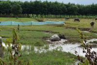 post-25023-0-44686800-1377267468_thumb.j