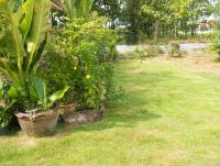 post-32351-0-76489300-1375857877_thumb.j